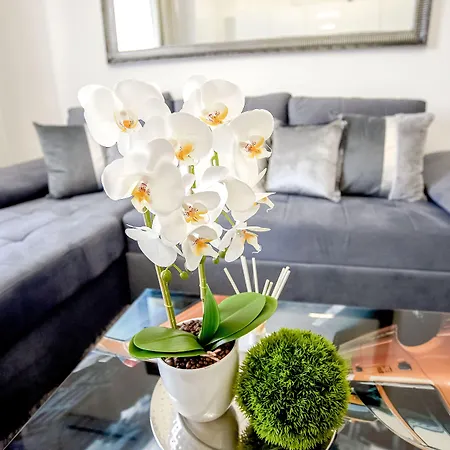 Apartamento Metropole Old Town *