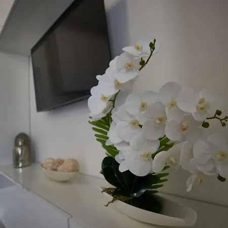 Metropole Old Town Apartment