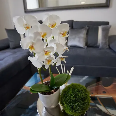Apartment Metropole Old Town *