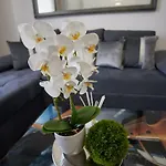 Lejlighed Metropole Old Town *
